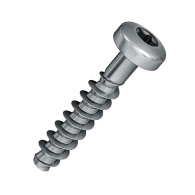2.5x10mm PT screw