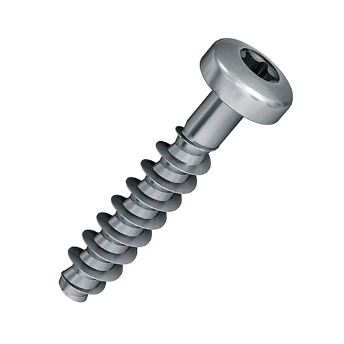 2.5x10mm PT screw