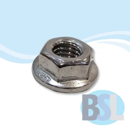 30001060 M6 Flange Nut Image 1