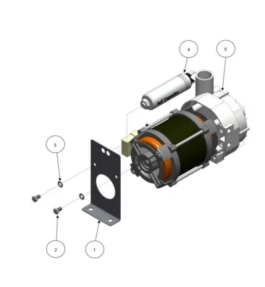 Rinse Pump Assembly