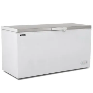 Blizzard CF650SS Stainless Steel Lid Chest Freezer