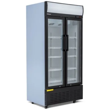 Blizzard GD630 Glass Hinged Door Merchandiser