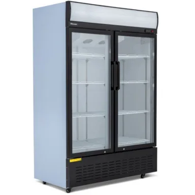 Blizzard GD900 Glass Hinged Door Merchandiser