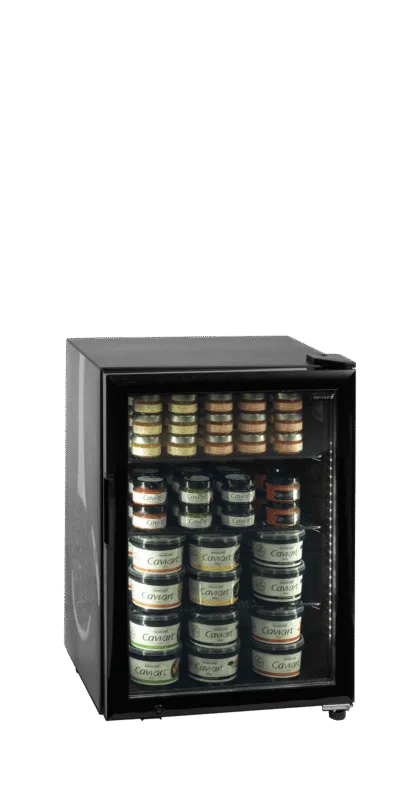 Tefcold UR90G-Sub Zero cooler with stock image