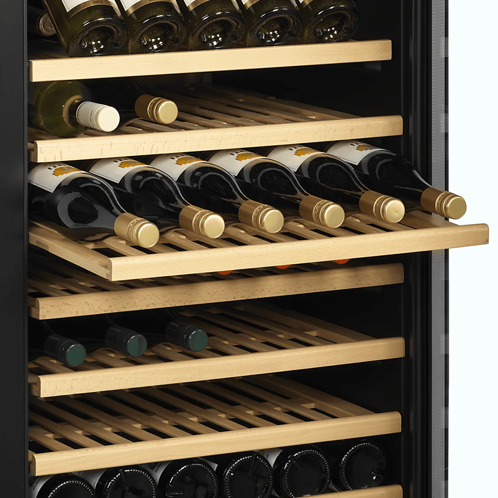 TFW100-S Wine Cooler - Image 2