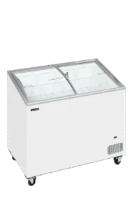 IC301SCEB