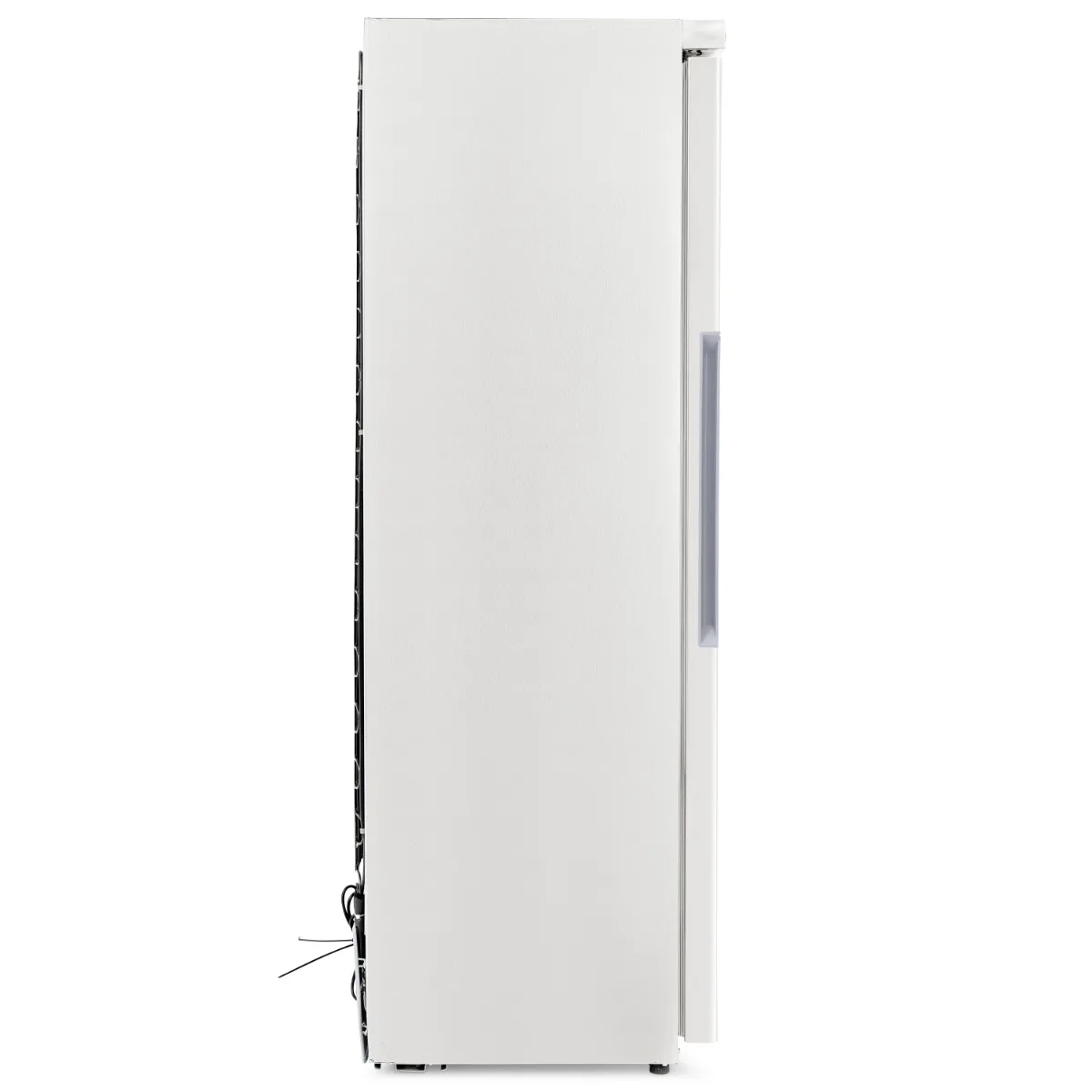 Upright 320L Single Hinged Door Freezer - image 2