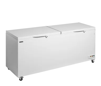 CF701 SL Ice Cream Freezer, Solid lids